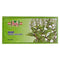 Shop Safa Mint Herbal Infusion 25 Tea Bags, 50g